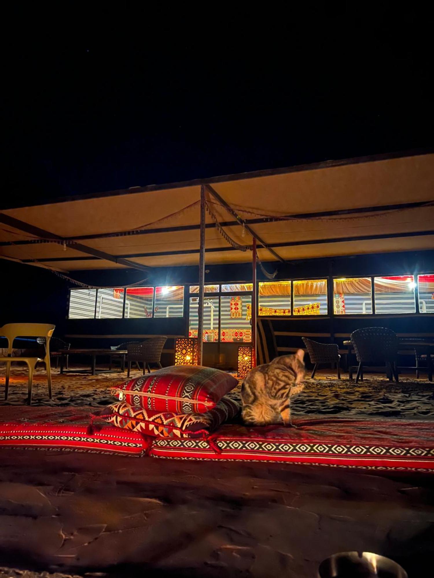 Hotel Bedouin Life Camp à Wadi Rum Extérieur photo